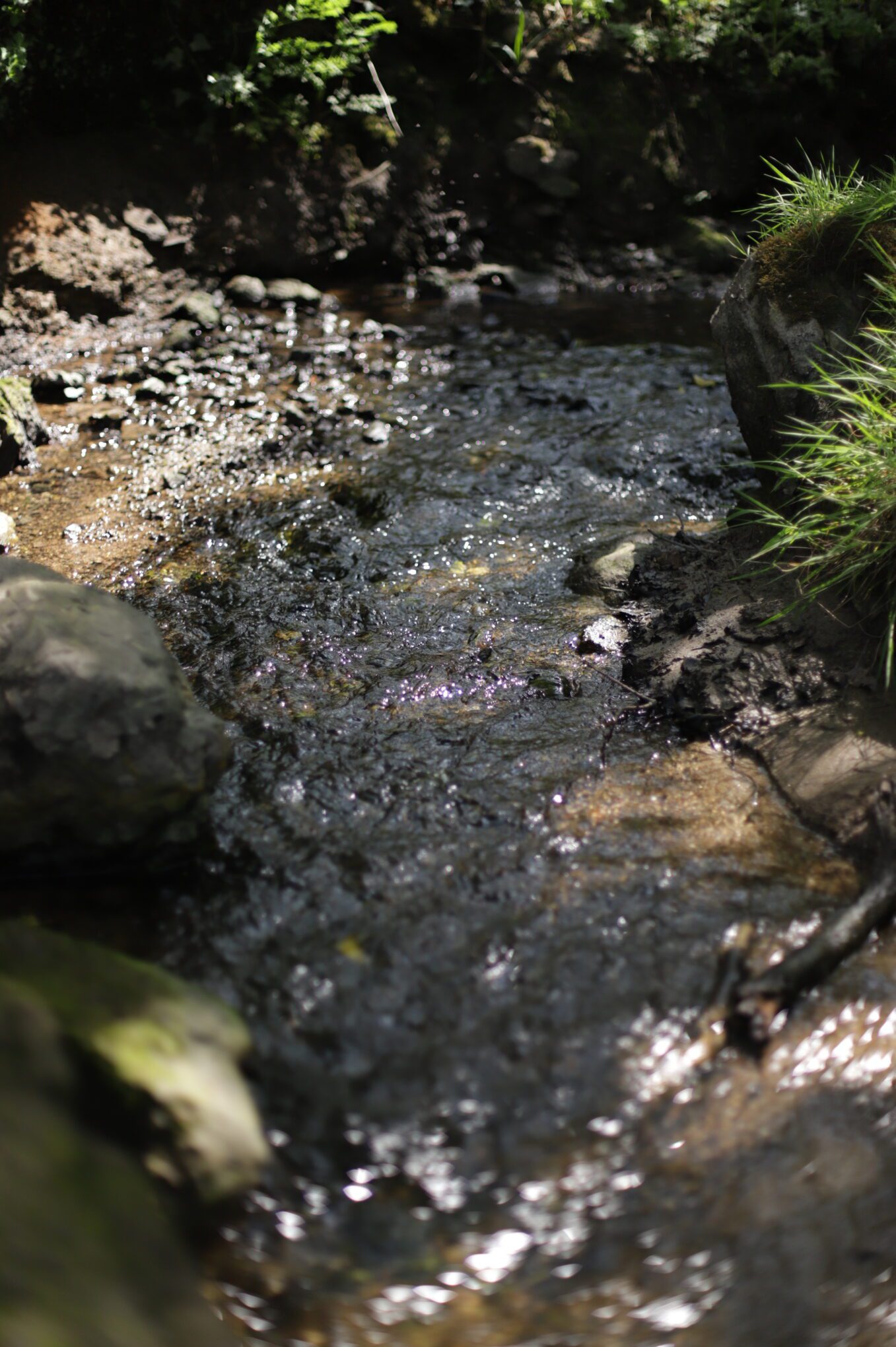 Aux abords du Pont du Diable, Aber Wrac'h, eau