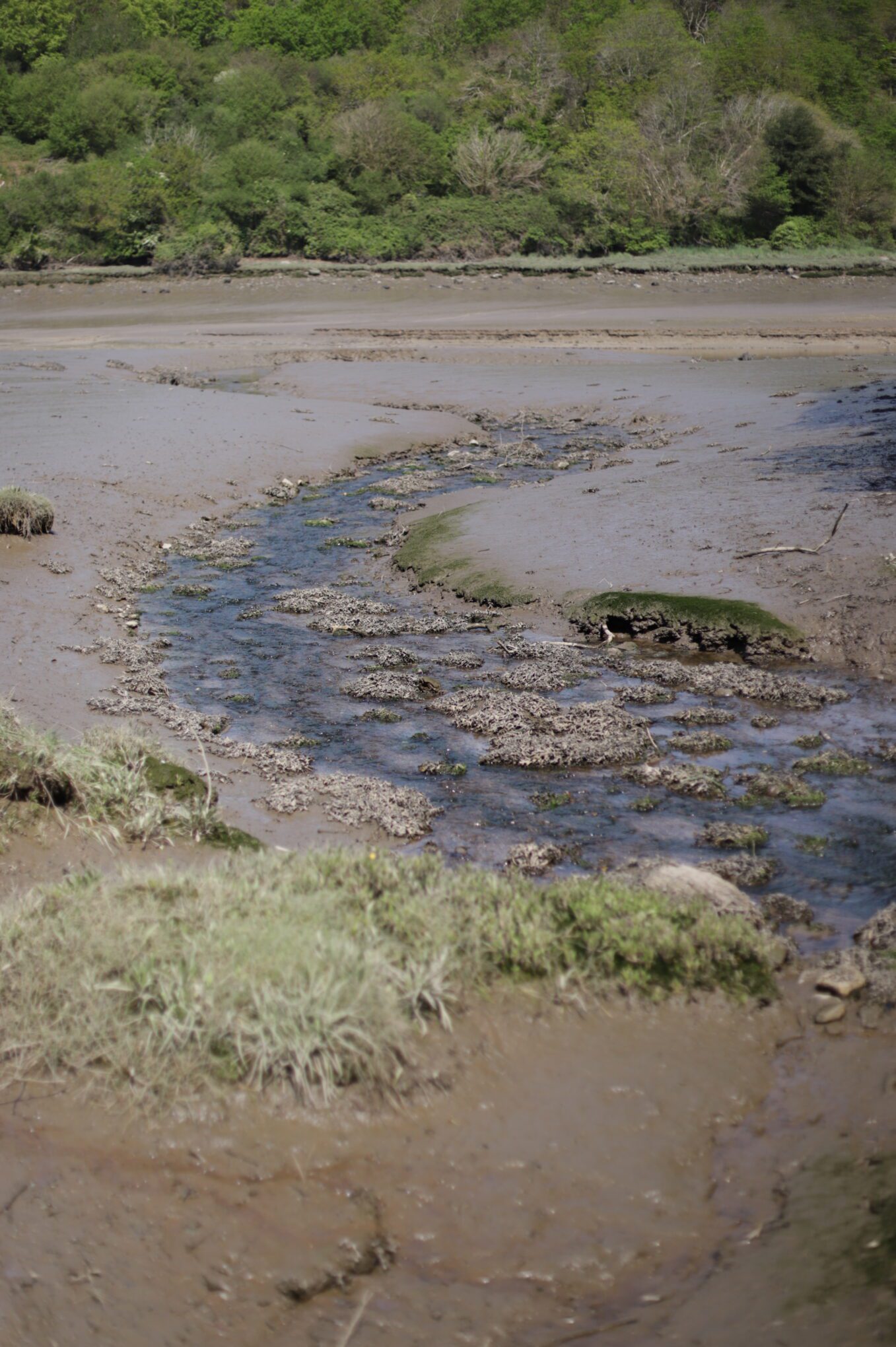 Aux abords du Pont du Diable, Aber Wrac'h, eau