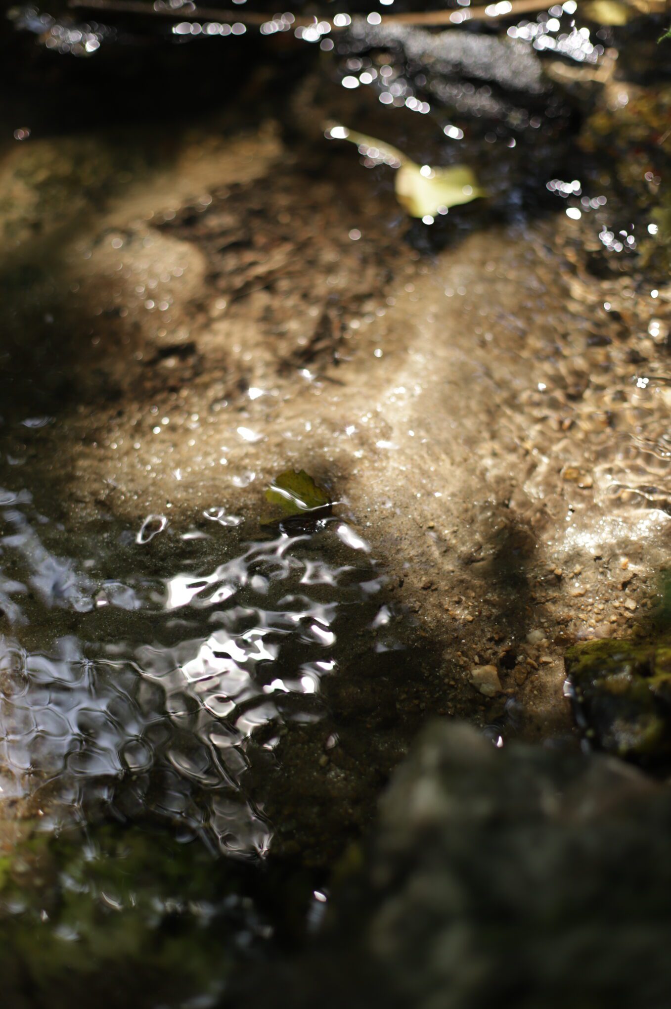 Les abords du Pont du Diable - Aber Wrac'h, eau